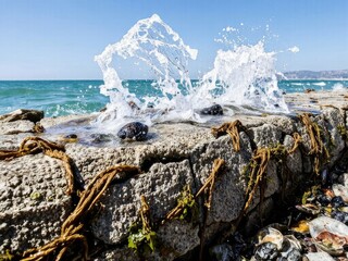 Ocean waves splashing against rocky shore with seaweed in sunlight  