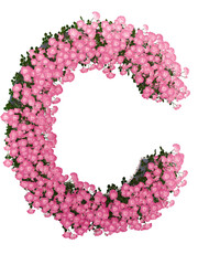 Floral decorative alpabet letter pink rose flower 3d symbol