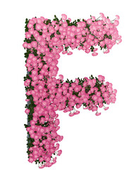 Floral decorative alpabet letter pink rose flower 3d symbol