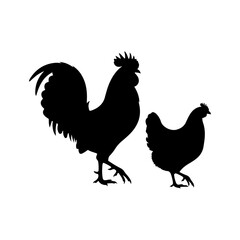 Silhouette rooster and hen walking, isolated on white background