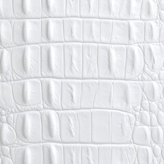 Close White Crocodile Leather Texture