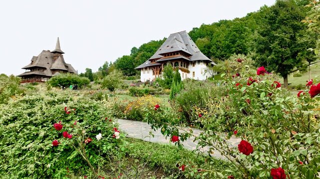 Roses bloom in monastic gardens of Barsana church complex Maramures