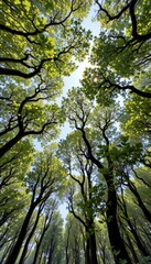 Fototapeta premium hyper realistic image of a lush forest canopy viewed from below, with sunlight filtering through curved branches and leaves.