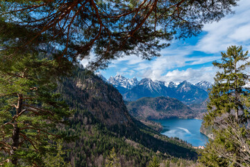 Scenic view of Alpsee lake surrounded by forest and snow-capped mountains near Schwangau, Bavaria, Germany – framed by pine trees under a bright blue sky