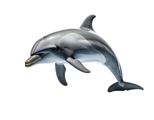 Fototapeta premium Realistic digital painting of a sleek, silvery dolphin against a stark black background