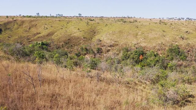 Drone captures Grotas no Cerrado in Goi&aacute;s with dry grass, scattered shrubs, and gently sloping terrain under clear skies showing biome exposure and seasonal dryness in Brazil&rsquo;s central savanna