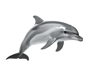 A sleek, grey dolphin isolated against a stark black background, swimming