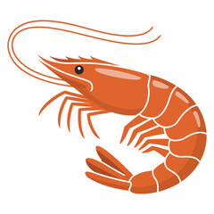 shrimp on white background