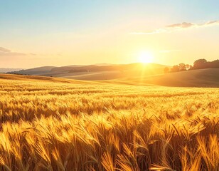 Obraz premium Generated image of a golden wheat field in summer light
