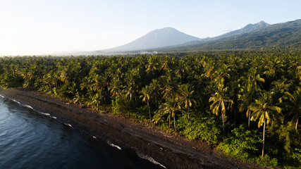 Black sand beach and lush palm forest on the Bali coastline. Tropical scene with rolling waves and a majestic distant Mount Agung volcano. © Enes