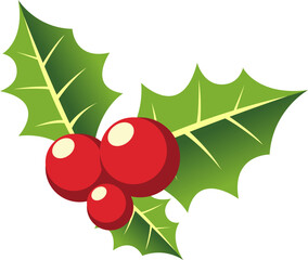 Holly Berries and Leaves Illustration