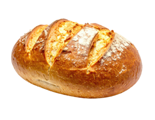 Loaf of freshly baked bread, with cuts on top, isolated on black background
