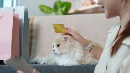 Shopping Experience with Cat. Woman using credit card while relaxing with pet cat.
