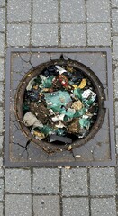 Cracked Earth's Embrace