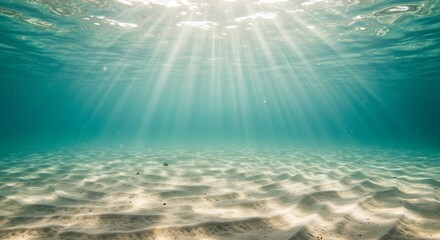 Fototapeta premium Underwater scene sunlight beaming through ocean water