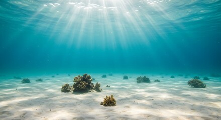 Underwater scene with sunlight beams coral and sandy seabed