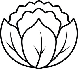 Simple Black and White Line Art Illustration of a Cauliflower or Cabbage Head