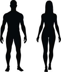 Male and female human body silhouette, fitness anatomy vector, medical health illustration, man woman figure outline, body shape design