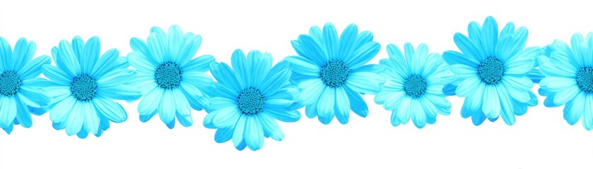 Fototapeta premium Bright Blue Flower Border with Realistic Detailed Blooming Daisy Pattern for Floral Design Artistic Element and Nature Inspired Decoration