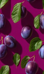 Vibrant purple plums with green leaves are artfully arranged on a fuchsia background