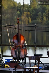 double bass
