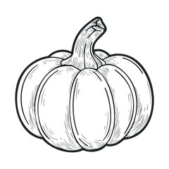 Pumpkin design for autumn celebrations and seasonal decor. Vector hand drawn illustration