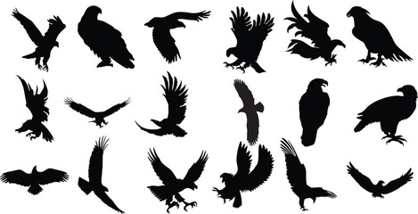 set of eagle silhouette fliying bird silhouette isolated vector illustration © Whiz
