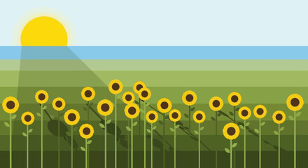 Sunny field of sunflowers under a bright sun.