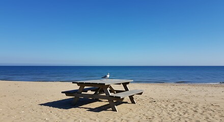 Wooden picnic table and seagull on a sandy beach against the blue sky