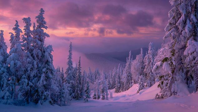 Magical winter forest scene at sunset with snow covered pine trees and vibrant purple sky - Powered by Adobe