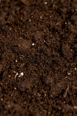 soil for growing seedlings or use to improve the soil quality in the field, fertile soil mixed with white pieces of perlite to improve the quality of soil