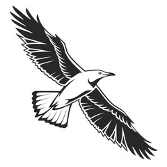 Black and white illustration of a bird of prey in flight with wings spread wide on a white background