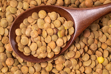Lentils in wooden spoon, close-up, top view