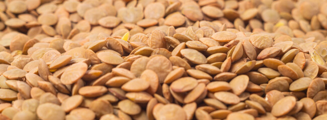 Lentils as a texture, background, pattern. Selective focus