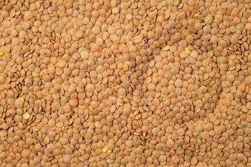 Lentils as a texture, background, pattern