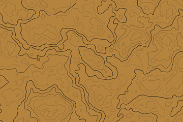 Contour Map Background