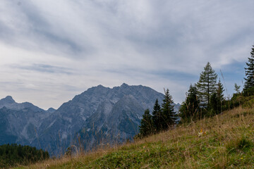 Fototapeta premium Alpine hillside meadow with conifer trees and rugged mountain peaks under cloudy sky