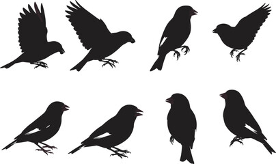 Black silhouette vector illustration of sparrows and small songbirds in flying, standing, and perching poses, isolated wildlife animal design elements