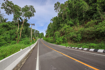 Road with a lot of trees on either side