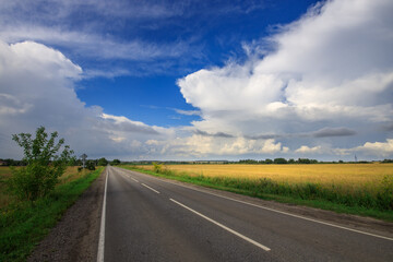 Fototapeta premium Road with a few trees on the side and a clear blue sky