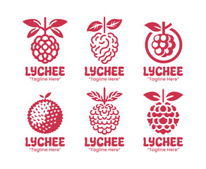 6 Lychee Logo Set Tropical Fruit Branding Logo Collection