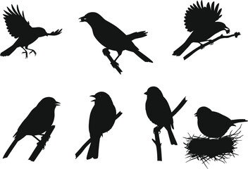 Vector illustration of bird silhouettes flying, perched, and sitting on tree branches and nest, black shadow wildlife animal nature design artwork.