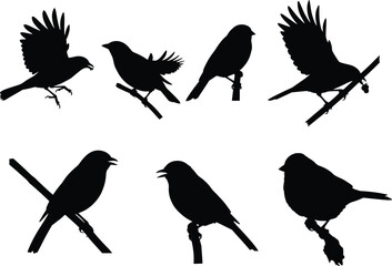 Vector illustration of bird silhouettes in different poses flying and sitting on branches, black shadow wildlife nature animal design artwork.