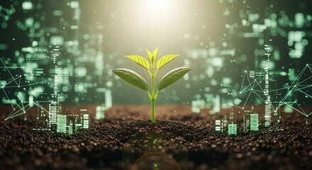 Sustainable Technology and Digital Growth