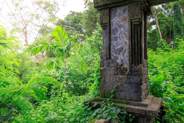 Stone pillar in a jungle with vines growing on it