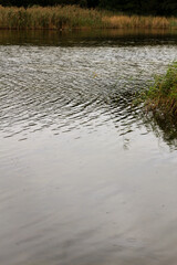 Scenic autumn river with colorful forest reflections in calm water. Seasonal fall background perfect for travel, nature, and environmental design projects.