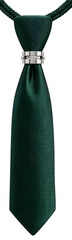 Green necktie isolated on transparent background, formal businesswear accessory for office, corporate, wedding and professional style

