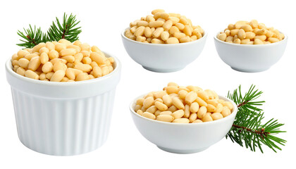 Set of pasta collection isolated on white background