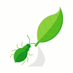 Green Plant Seedling Growing from Soil with Fresh Leaves Vector Illustration