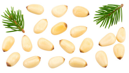 Set of pasta collection isolated on white background